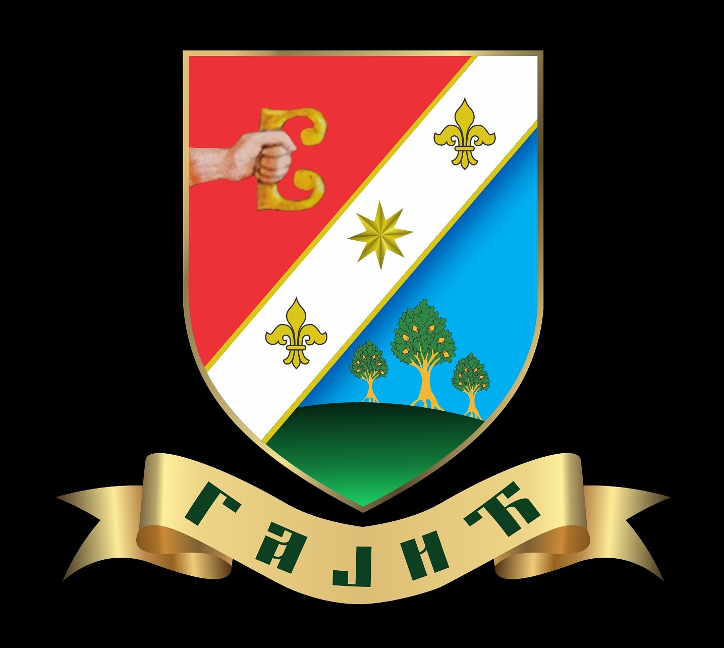 Grbovi_Expert_Network_Heraldika_2